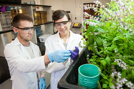Environmental engineering