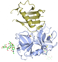 PNAS structure