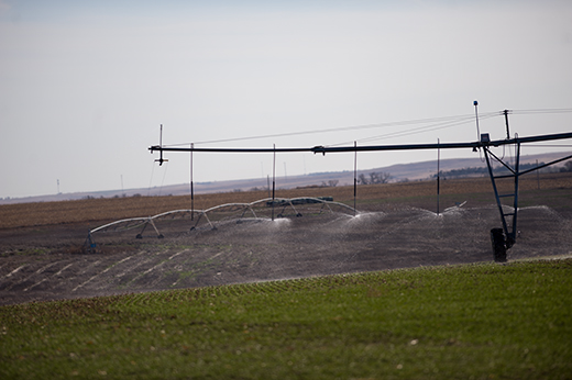 Western Kansas