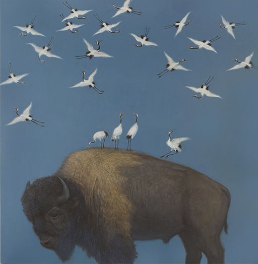 Bison and Cranes