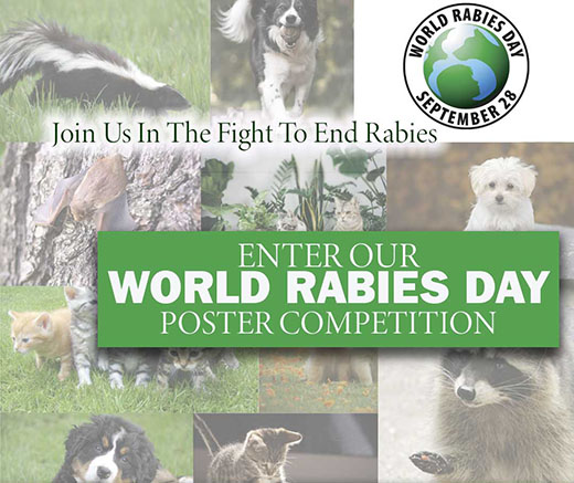 World Rabies Day poster competition