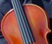 violin detail