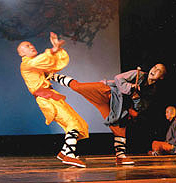 Shaolin Warriors