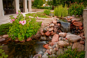 Garden at Johnson Center for Basic Cancer Research 