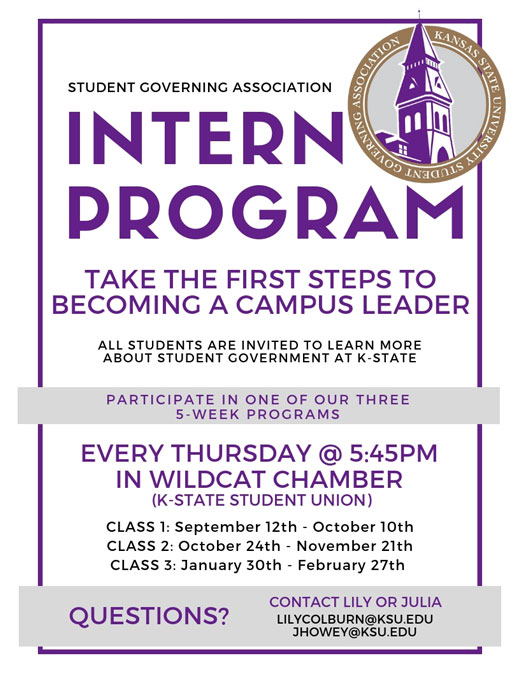 Intern program flier