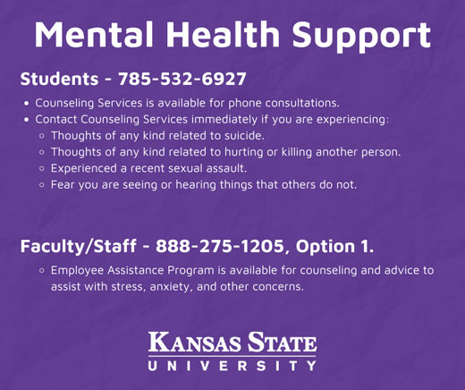 Mental health support