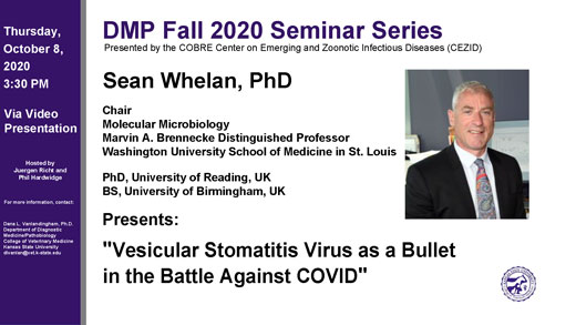 DMP seminar with Sean Whelan flyer