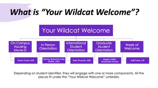 Your Wildcat Welcome Org chart