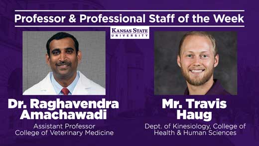 Nov 4 Professor and Professional Staff of the Week