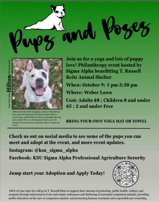 Pups and Poses flyer