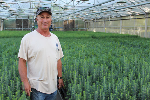 Mark standing with the seedlings he has grown.