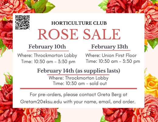 Rose sale