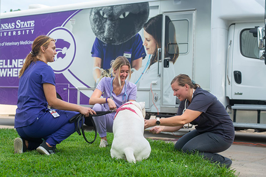 VetMed Community Outreach team