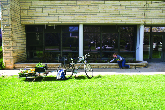 bicycle with trailer full of plants and woman planting flowers in flowerbed