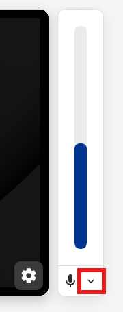 Audio meter preview, microphone icon, and drop-down menu