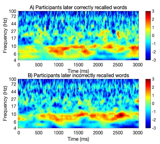graph showing brain waves