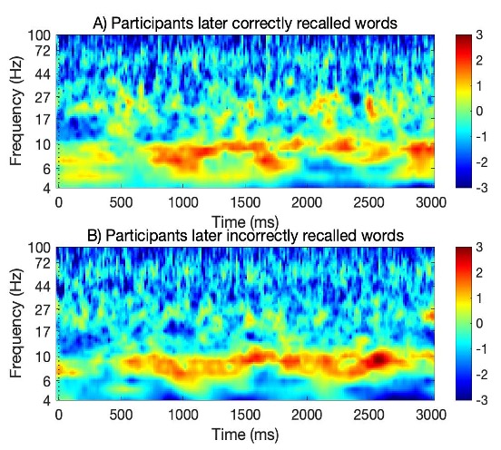 graph showing brain waves