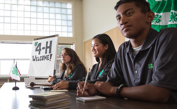 4-H 4-H