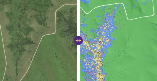 real aerial image of field and AI-informed view where blue dots represent shrubs, yellow represents deciduous trees and red are Eastern Red Cedars