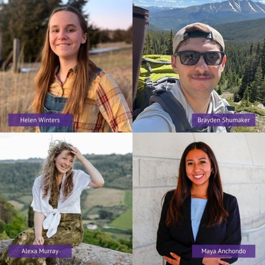 collage of 4 of the 2024 Chapman Scholars