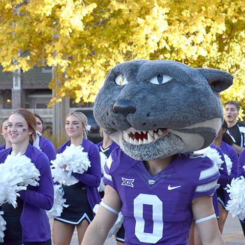 Willie Wildcat and K-State Cheerleaders walk in parade