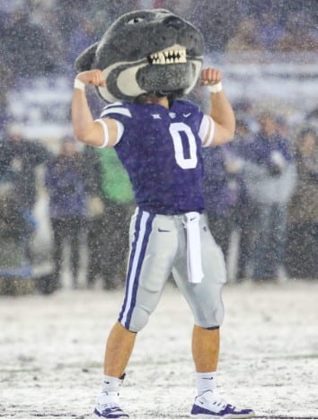 Photo of Willie the Wildcat mascot in snow