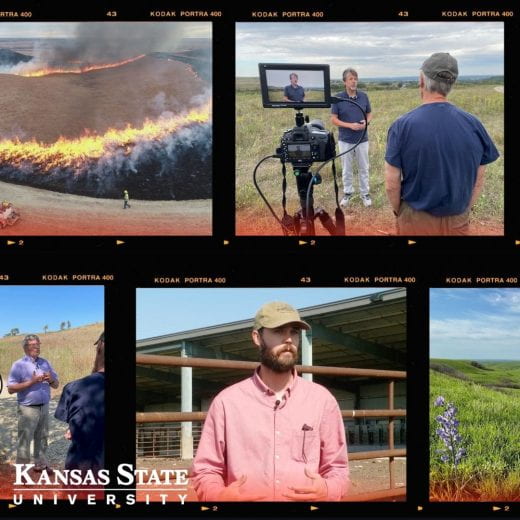 collage of photos from the documentary, Hot Times in the Heartland