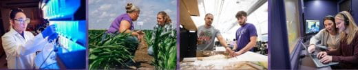 collage of 4 photos showing students doing engaging things