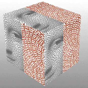 graphic collage of cube showing art based on works by seminar speakers R. Bosh and J. Webb
