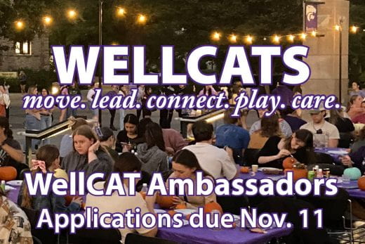 WellCAT Ambassador due date and image of students painting pumpkins outside with ambient light