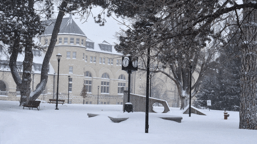 snowy view of Hale Library
