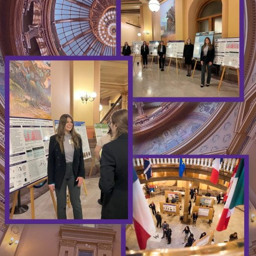 collage of photos of past event