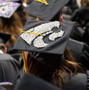 mortarboard adorned with powercat