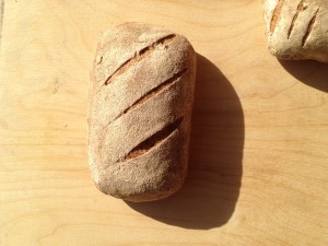 IMG_0921 - Copy