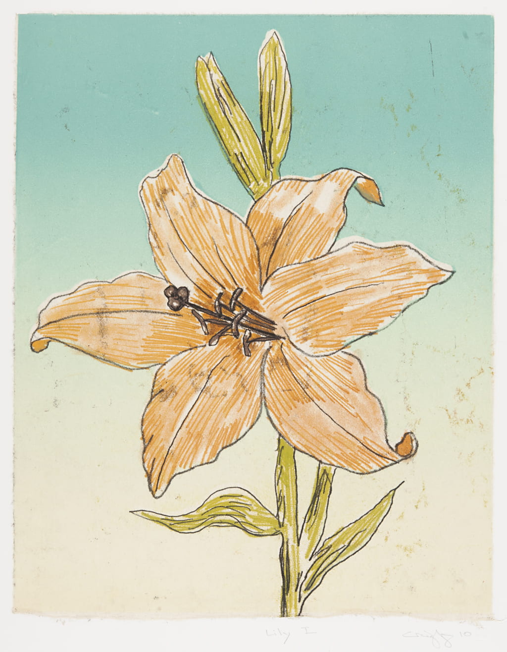 Print "Lily I" by Karsten Creightney showing a yellow lily flower