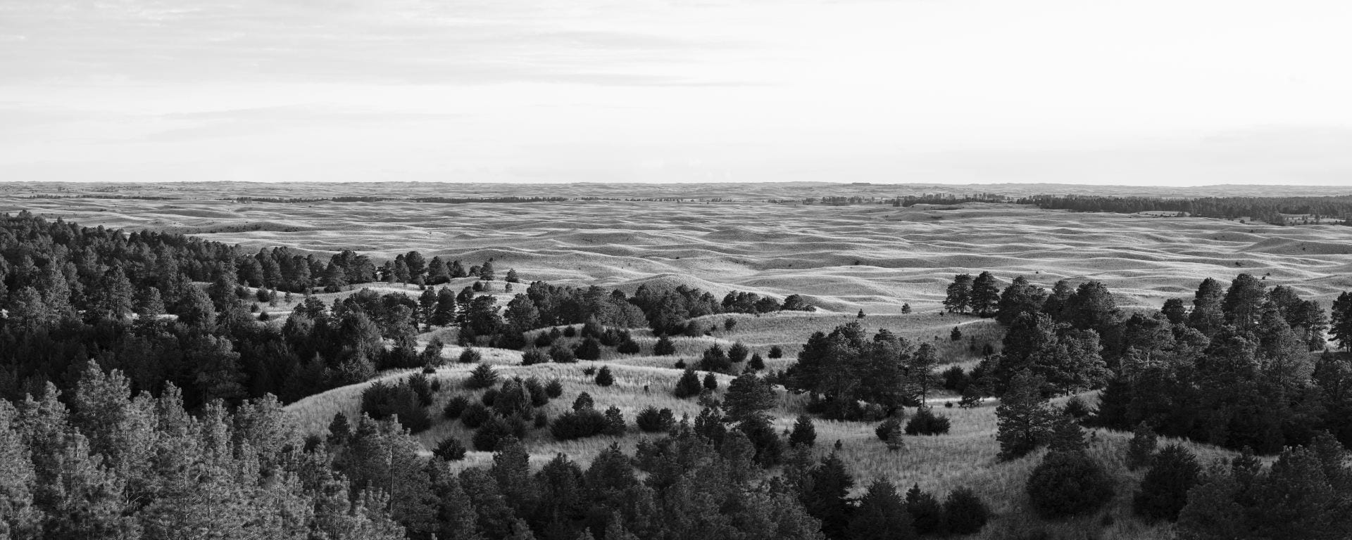  Dana Fritz, Fire Tower View, 2021, inkjet print, 16 x 40 in., courtesy of the artist