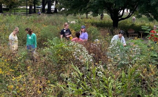 View of The Meadow, a garden of native prairie plants located just north of the Beach Museum of Art