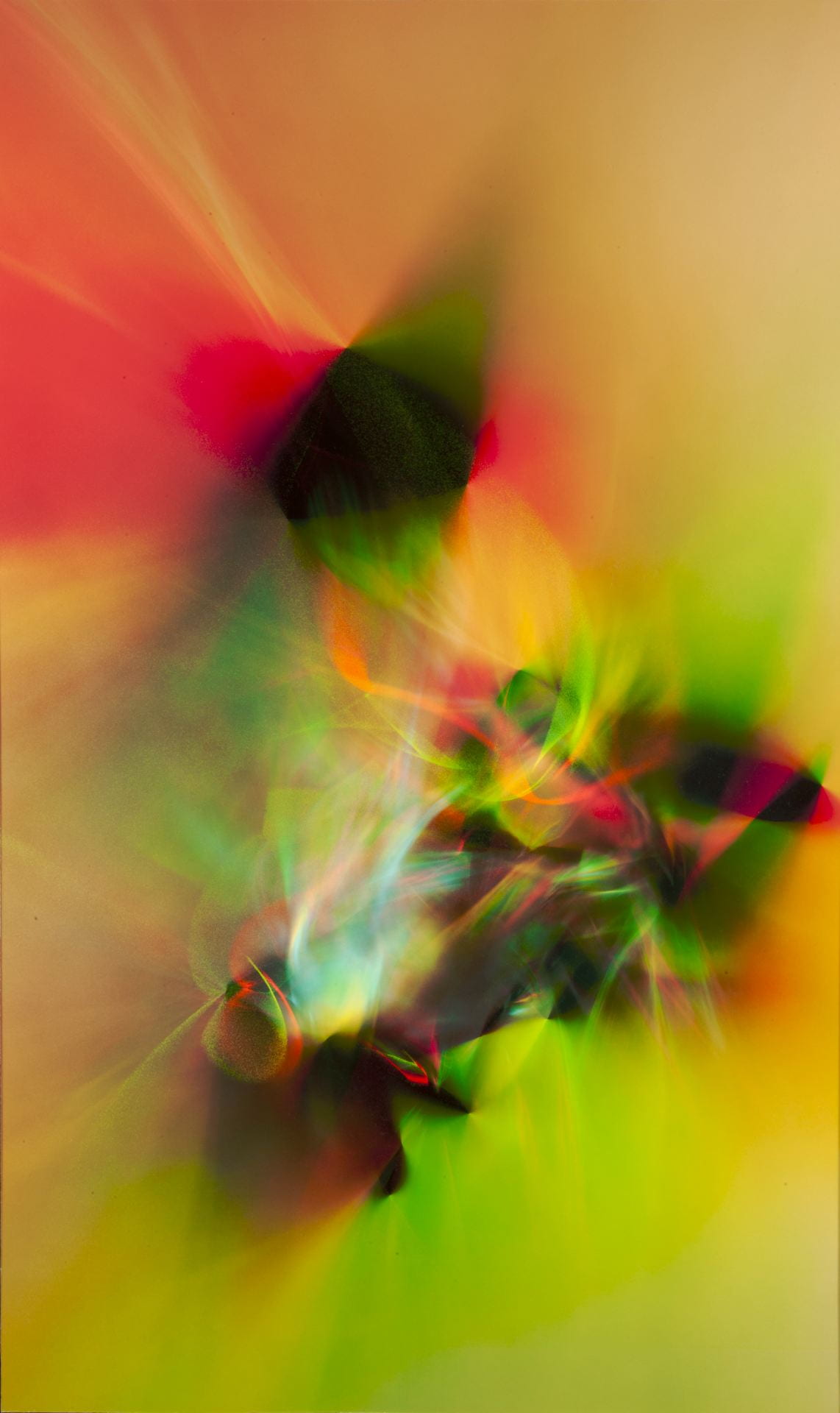 Tim Forcade, Radiant Chorus, 2019, inkjet print on paper mounted on board, 61 x 37 x 2 1/2 in., Kansas State University, Marianna Kistler Beach Museum of Art, gift of Don Lambert, 2023.10