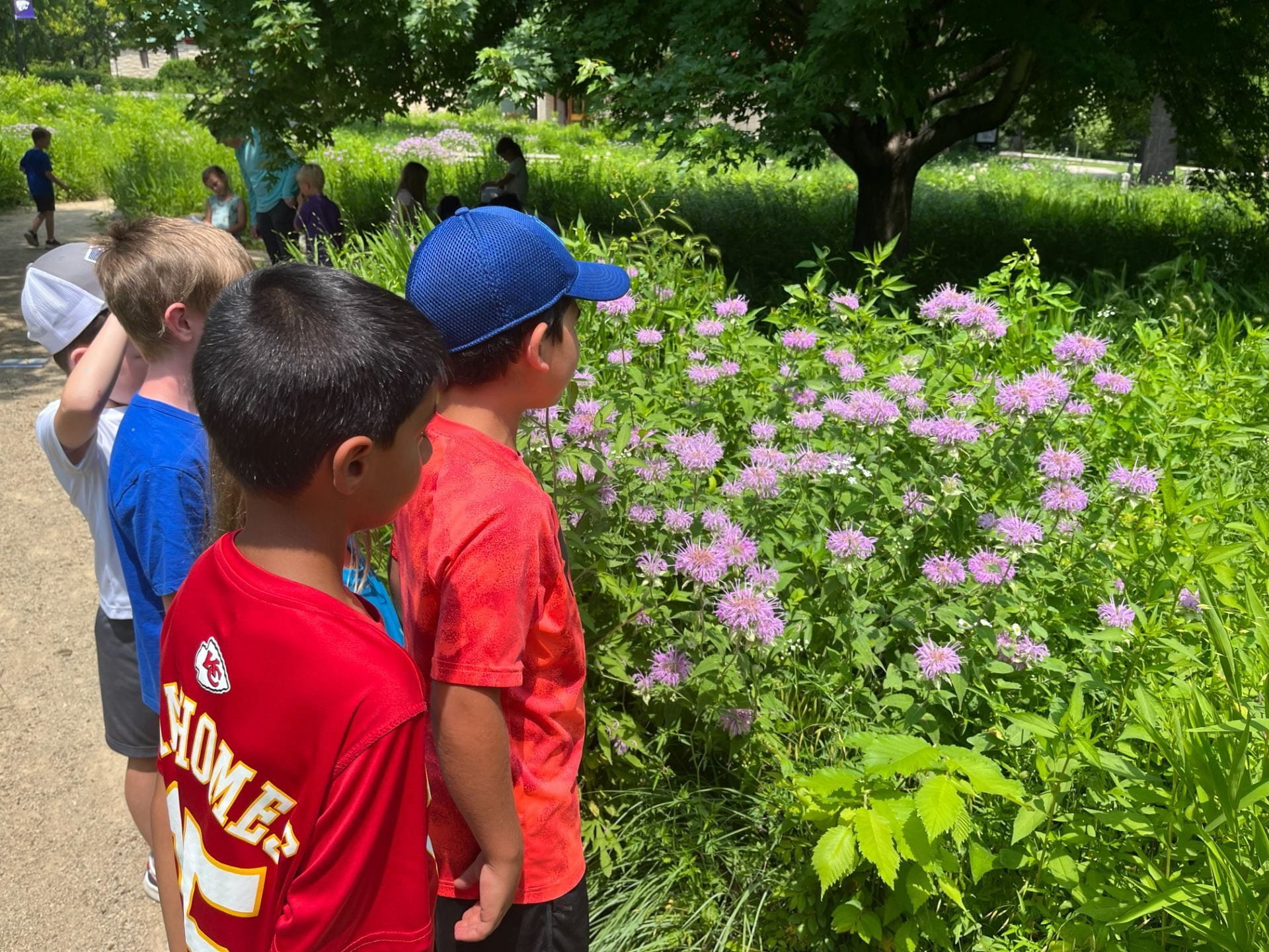 Young explorers in The Meadow, a garden of native prairie plants located just north of the Beach Museum of Art.