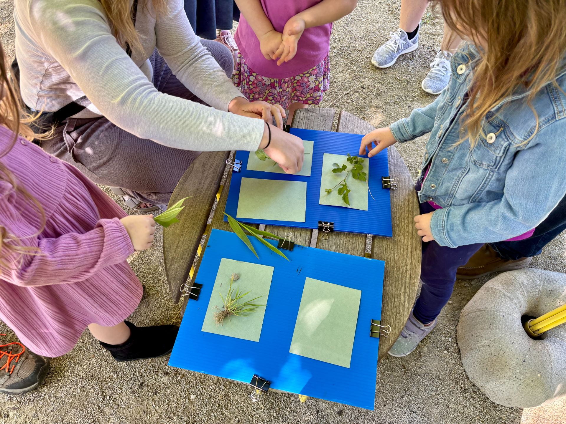 Children making prints with natural materials like leaves and flowers placed on special print paper in the Meadow. 