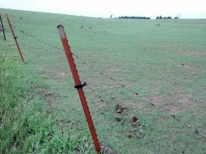 drought-stressed pasture after rain