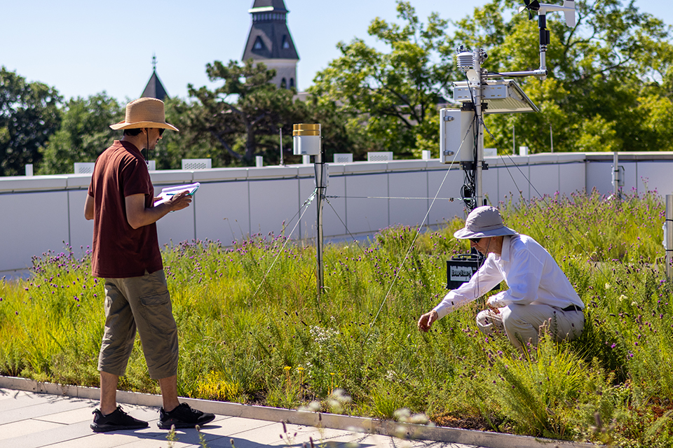A master's student in a brown shirt writes down a list of measurements on a clip board as an older professor calls them out while measuring different variables in a plot of grasses on a college building's green roof.