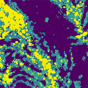 digital image of plant canopy height analysis
