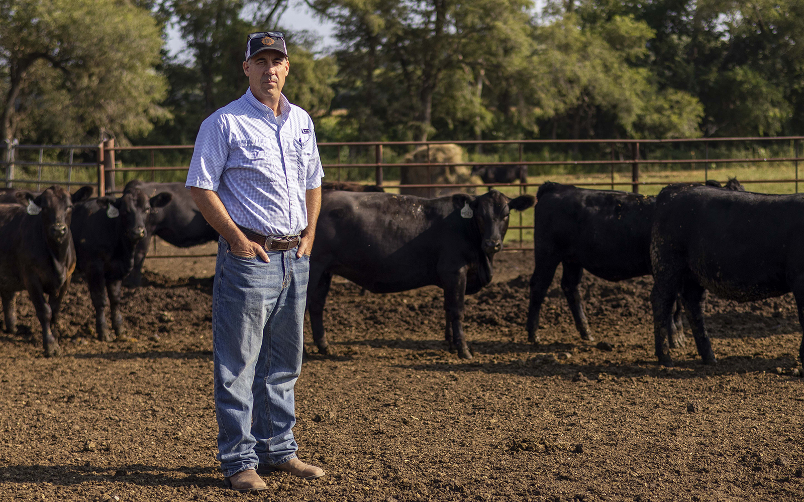 John Irvine, a rancher in blue jeans and a short-sleeve button-up shirt, poses for a outdoor portrait with his hands in his pocket and cattle behind him.