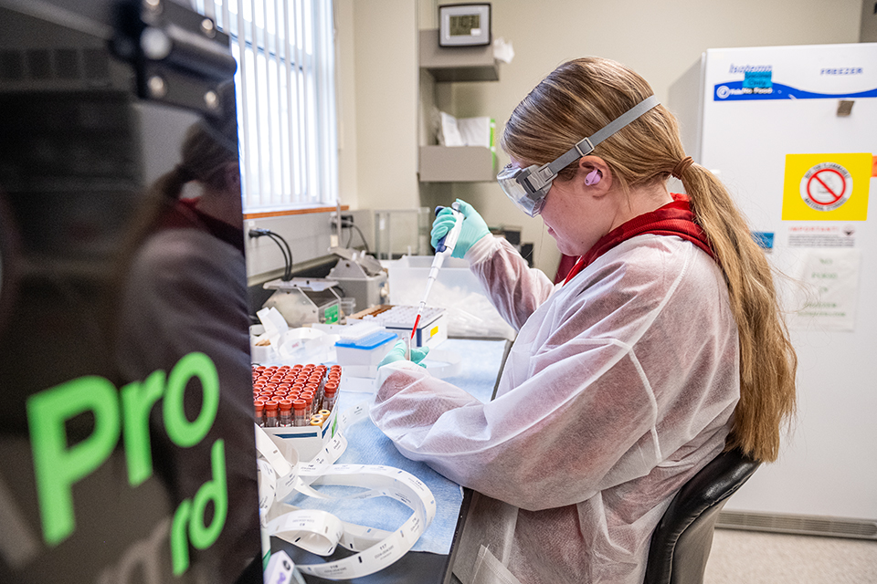 A woman in a labcoat uses a pipette to extract a sample in a diagnostic laboratory.