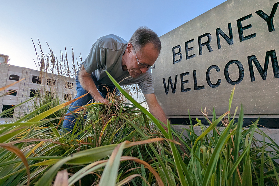 A man in a grey shirt pulls weeds near campus sign. 