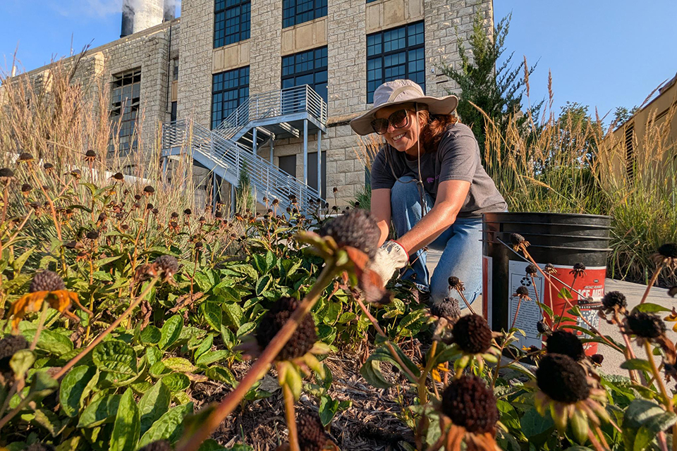A woman in grat T-shirt pulls weeds out of a flower bed near a limestone building. 