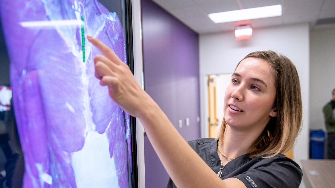 A young woman in gray scrubs points at a screen that shows muscles in purple.