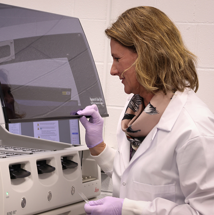 A woman in a lab coat and lavender gloves uses a diagnostic machine for veterinary samples.