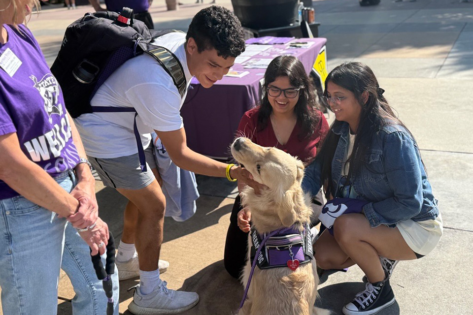 College students kneel down to pet a golden retriever wearing a purple service vest. 